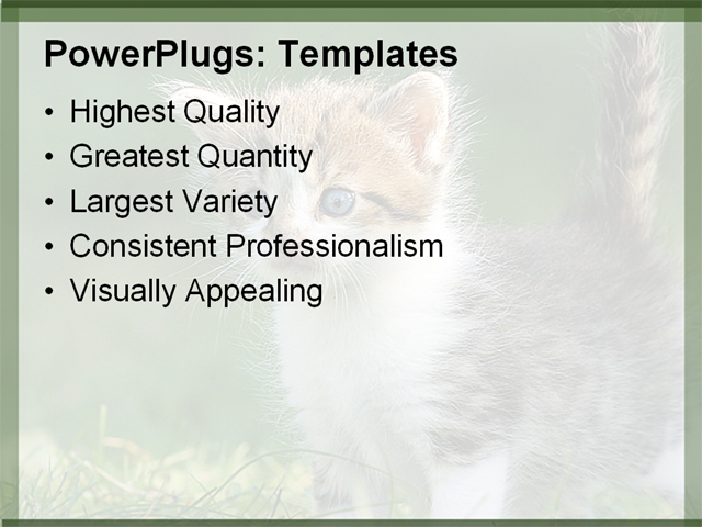 PPT Template - cats, pets, green - Text Slide