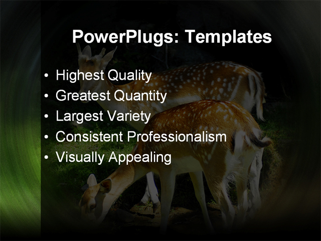 PPT Template - animals, beautiful, day - Text Slide