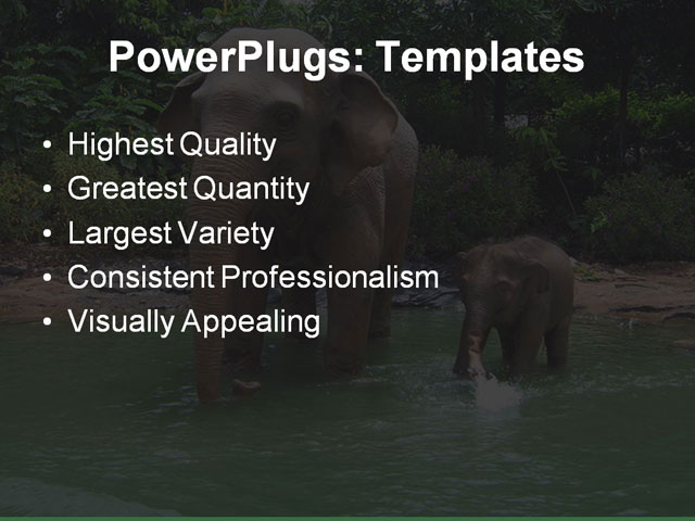 PPT Template - services, business, marketing - Text Slide