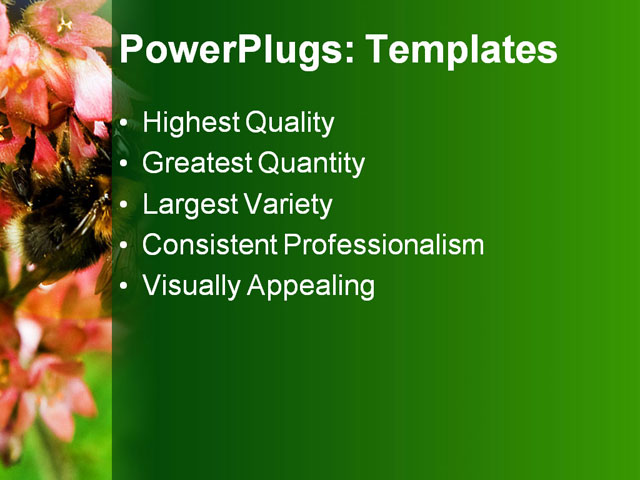 PPT Template - bumblebee, animal, beautiful - Text Slide