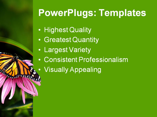 PPT Template - butterfly, coneflower, flower - Text Slide