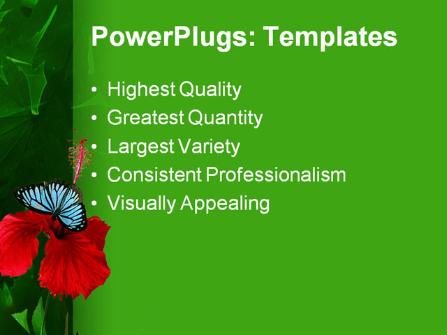 PPT Template - butterfly, hibiscus, butterfly - Text Slide