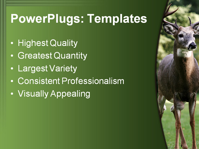 PPT Template - male white tailed deer, alert, animal - Text Slide