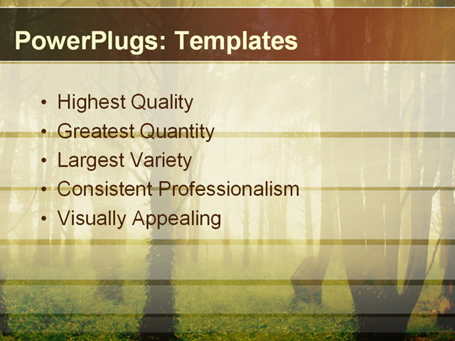 PPT Template - woods, light, sun - Text Slide