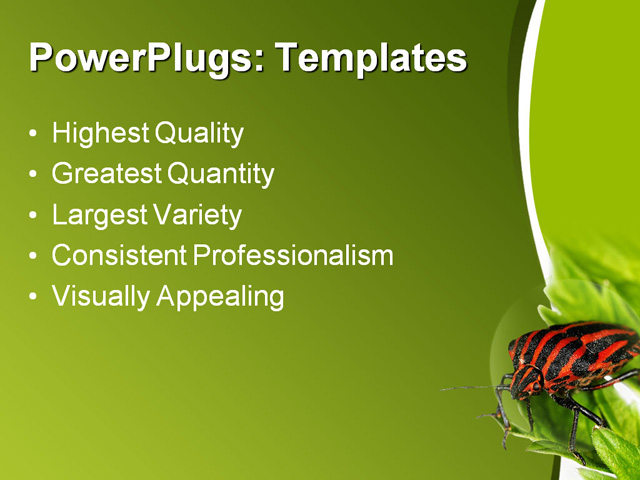 PPT Template - insect, animal, bug - Text Slide