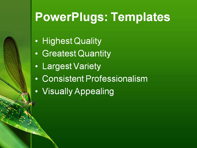 PPT Template - insect macro, laos, animal - Text Slide