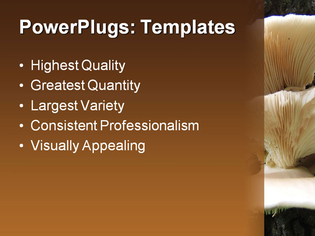 PPT Template - mushrooms, tree, fungus - Text Slide