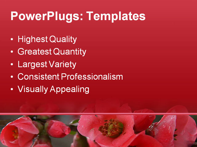 PPT Template - pomegranate, flowers, blossom - Text Slide