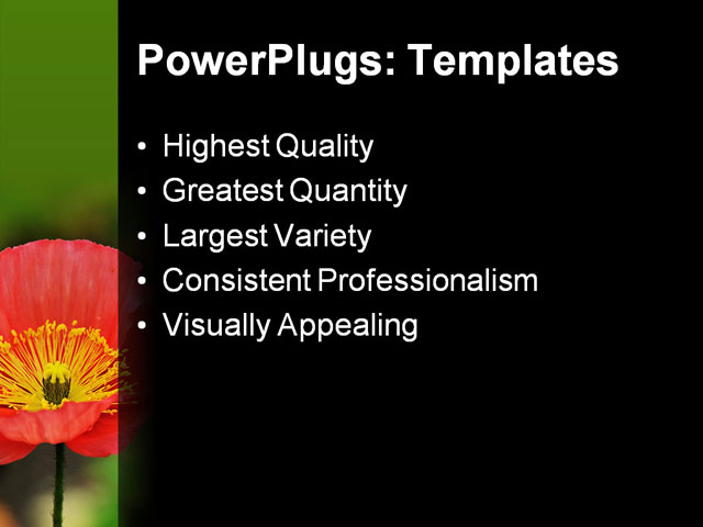 PPT Template - red iceland, poppy flowers, garden - Text Slide