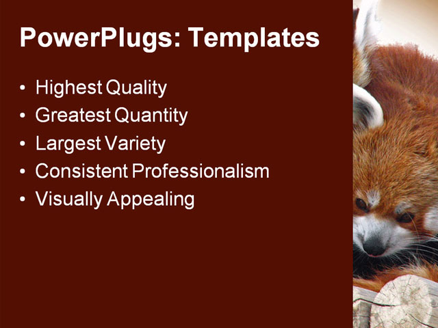 PPT Template - red pandas cuddling, animal, cold - Text Slide
