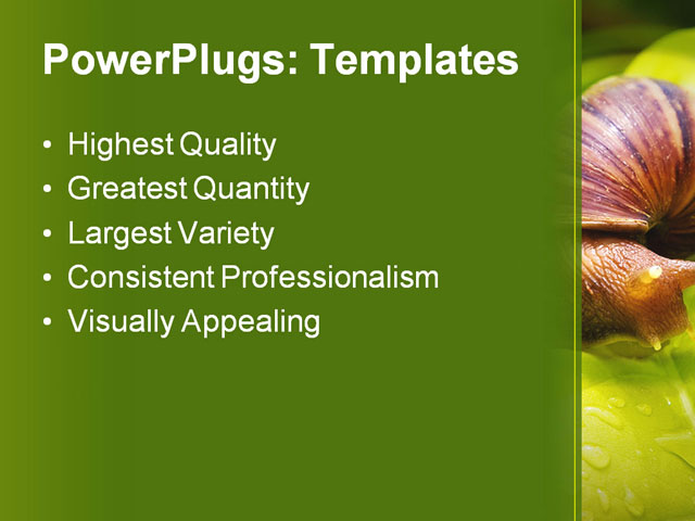 PPT Template - snail on leaf, alone, animal - Text Slide