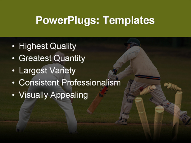 PPT Template - ball, bat, cricket - Text Slide