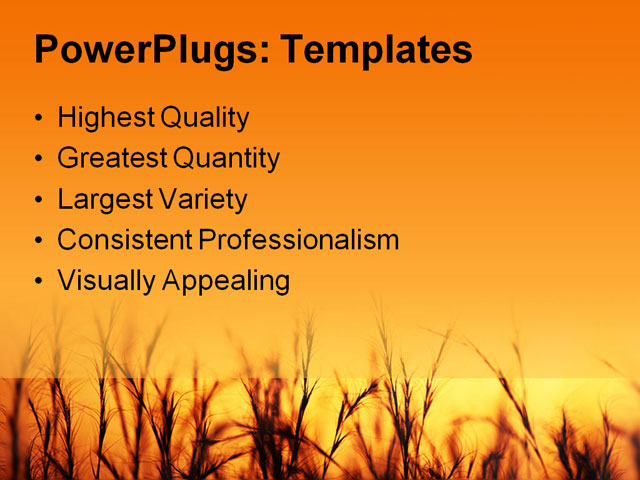 PPT Template - golden sunset, agriculture, barley - Text Slide