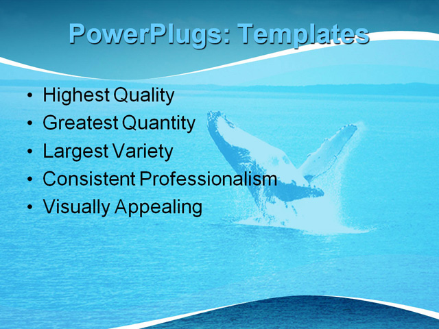 PPT Template - brisbane, humpback, jump - Text Slide
